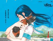 全知读者视角
